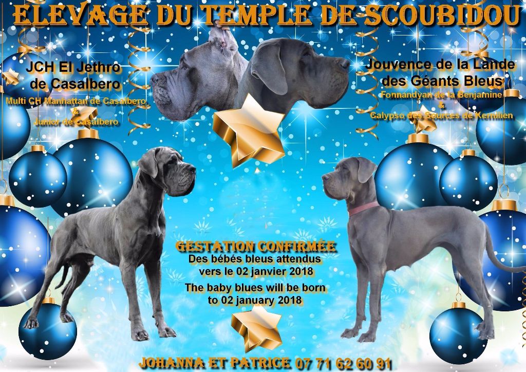 Du Temple De Scoubidou - naissance prevue pour le 02/01/2018