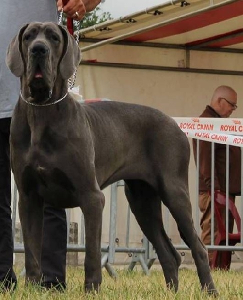 Lucifer De La Lande des Géants Bleus